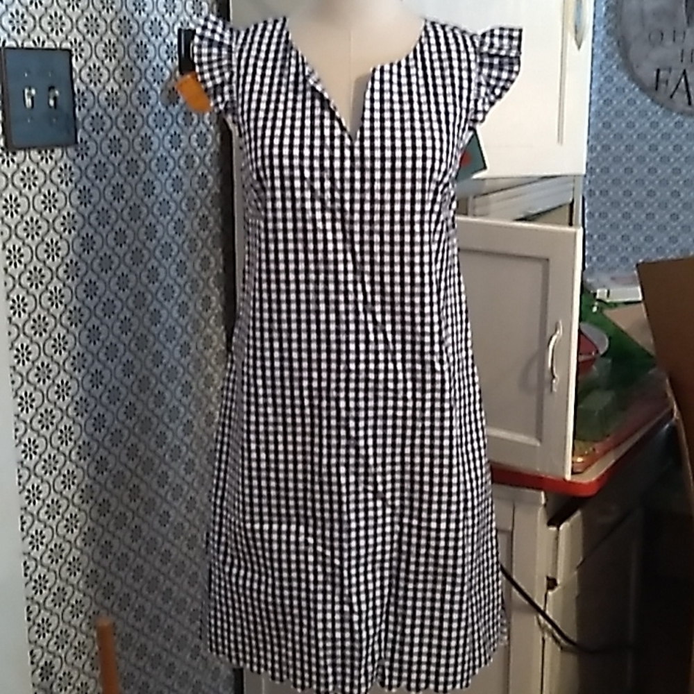 Haley and the Hound small blue white gingham plaid dress 👗